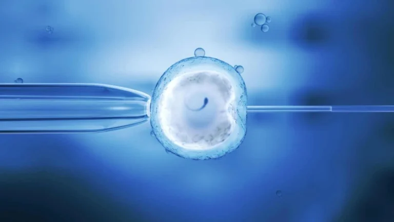 IVF-Fertility-Clinic-service